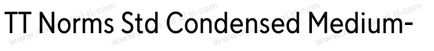 TT Norms Std Condensed Medium字体转换